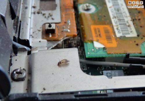 夏天来了笔记本除尘图文教程