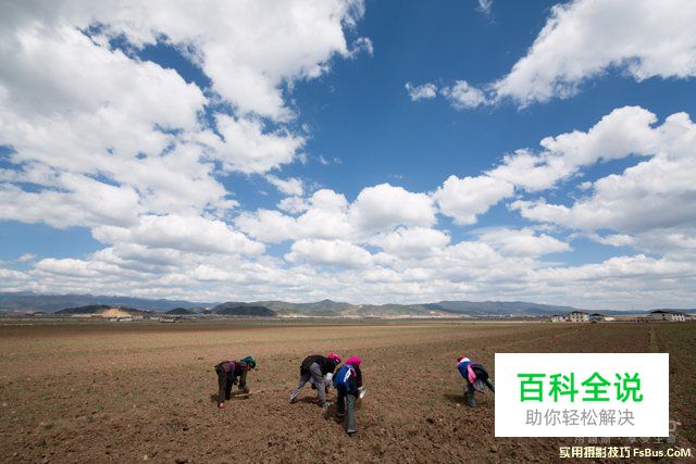 新闻纪实摄影5招快速上手