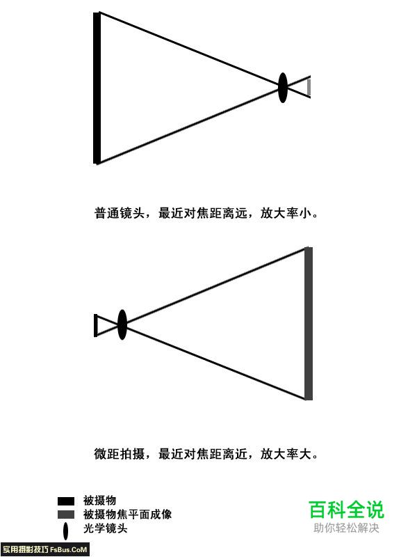 学习全新视角微距摄影