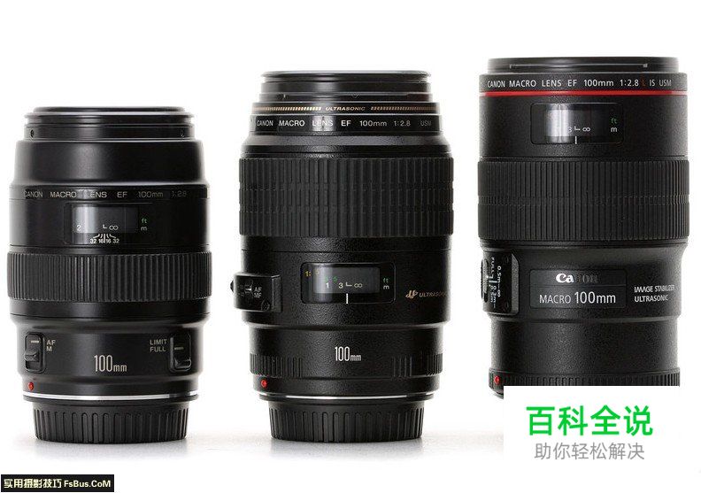 学习全新视角微距摄影