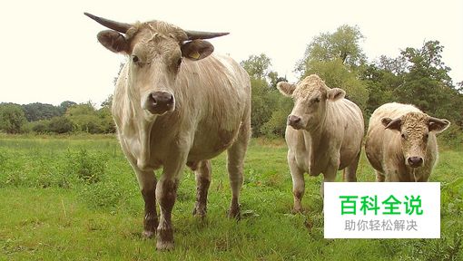 想做好设计？先来了解神奇的魔力数字“3”（设计经验谈）