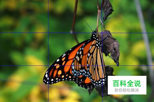 想做好设计？先来了解神奇的魔力数字“3”（设计经验谈）