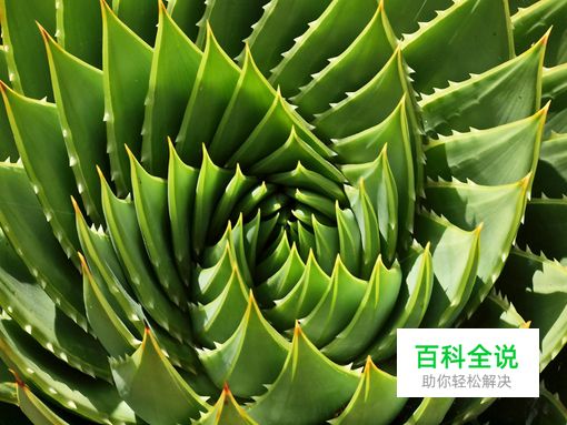 想做好设计？先来了解神奇的魔力数字“3”（设计经验谈）