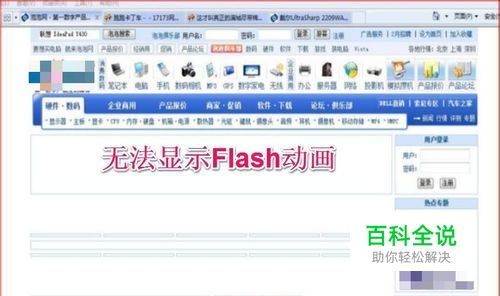 已安装Adobe Flash Player，还是无法显示动画