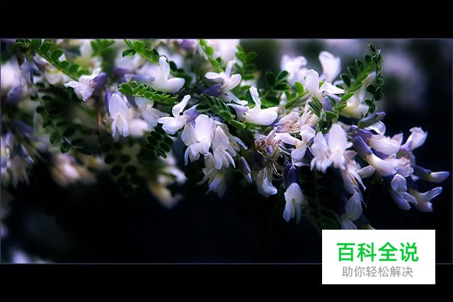 易被忽视的重要曝光知识