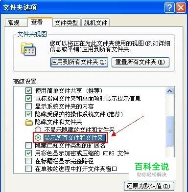 隐藏文件和文件夹无法显示怎么办