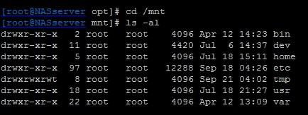 一次因NAS存储故障引起的Linux系统恢复案例