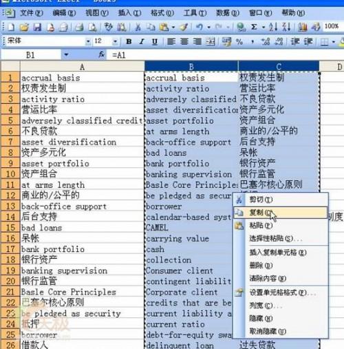 用Excel把网页上复制来的文本行列互换