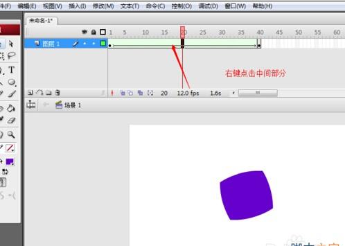 用flash制作图片变形动画效果