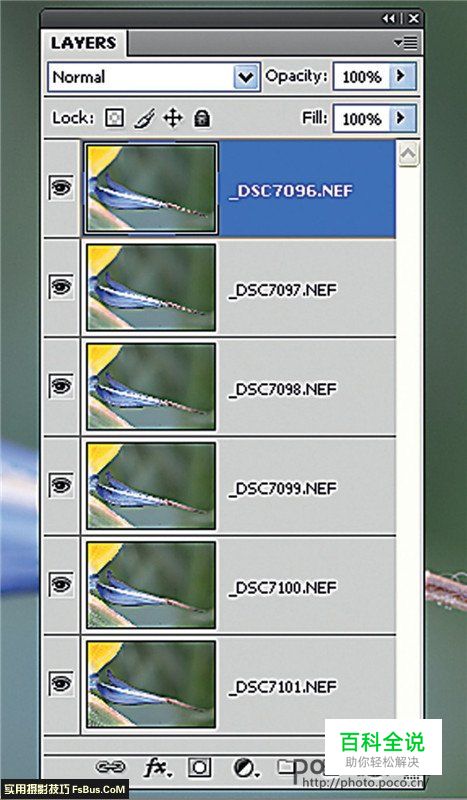 用后期一招增加微距景深