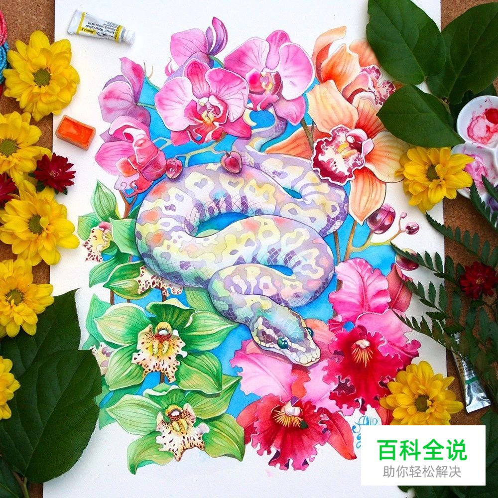 原来水彩插画真的很唯美，很清新。