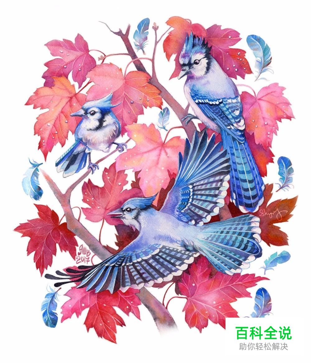 原来水彩插画真的很唯美，很清新。