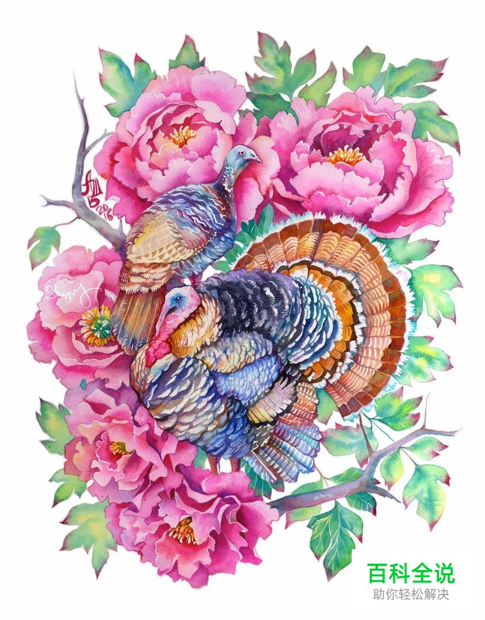 原来水彩插画真的很唯美，很清新。