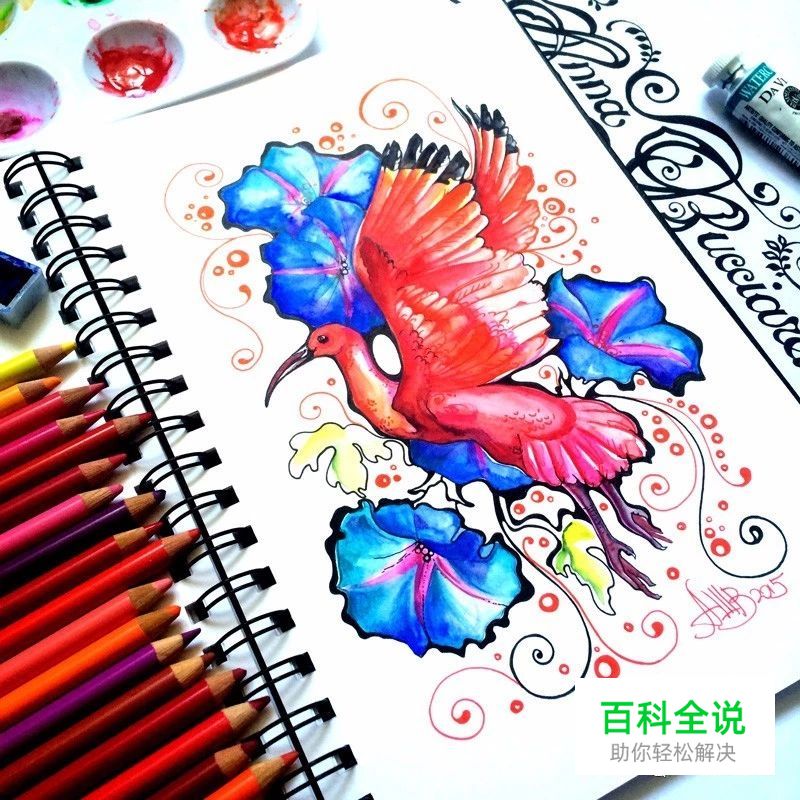 原来水彩插画真的很唯美，很清新。