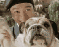 音频爆音怎么处理