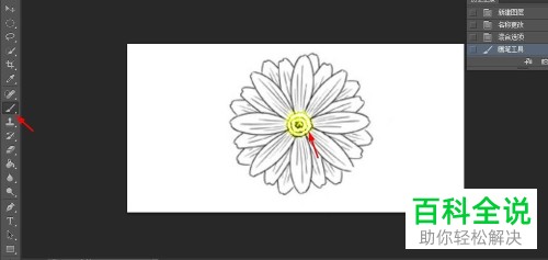 用Photoshop给黑白照片上色的具体操作步骤