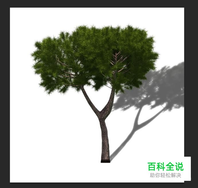 用photoshop给树木制作影子