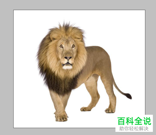 用Photoshop PS怎么给图片设置水墨画效果