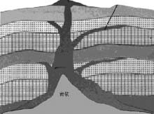 用PPT 2000制作特效4例