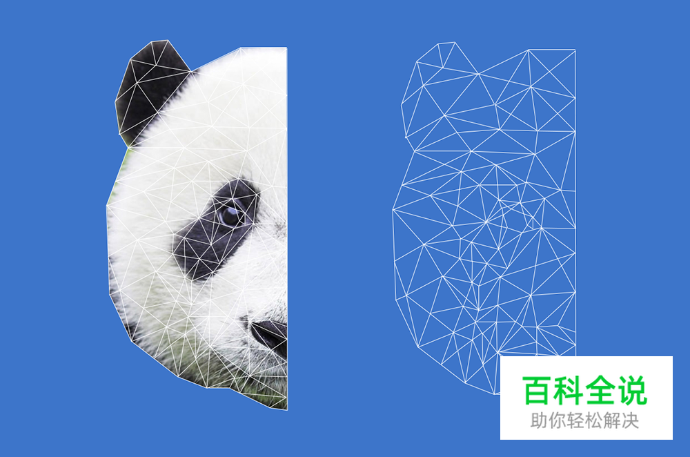 用PS绘制低多边形星空效果熊猫头像