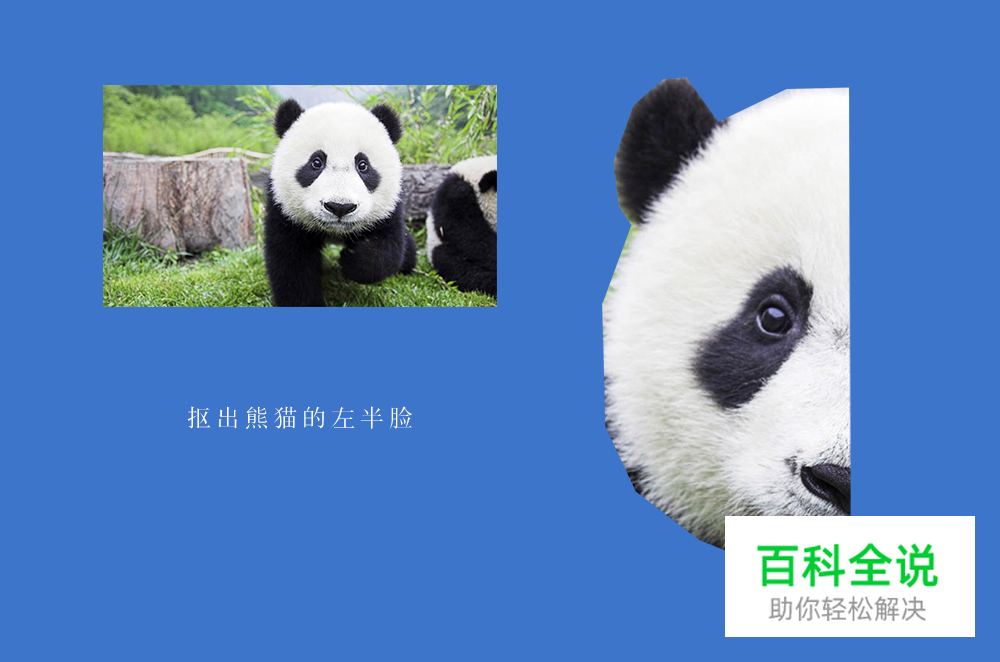 用PS绘制低多边形星空效果熊猫头像