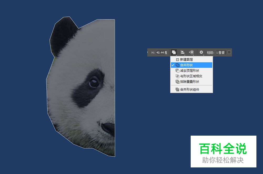 用PS绘制低多边形星空效果熊猫头像
