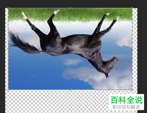 用ps软件把普通照片做成水边倒影的方法