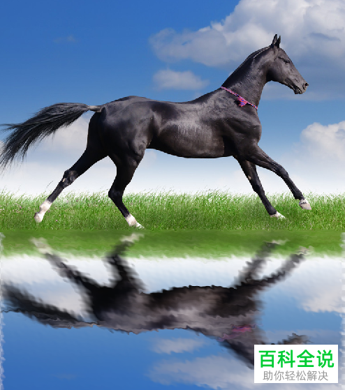 用ps软件把普通照片做成水边倒影的方法