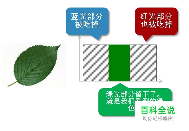 颜色的前世今生16·CMYK系统（原色的选择）