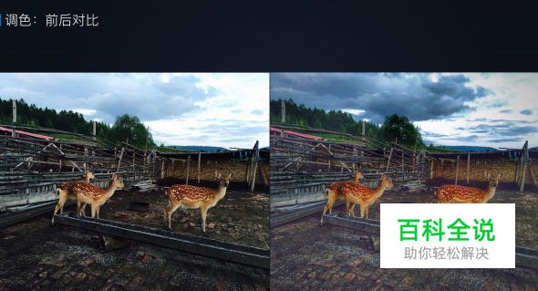 用手机拍出的大片