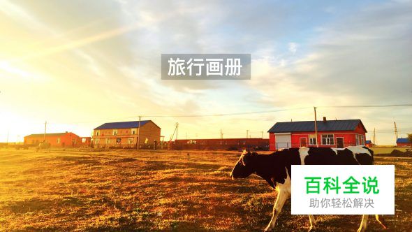 用手机拍出的大片