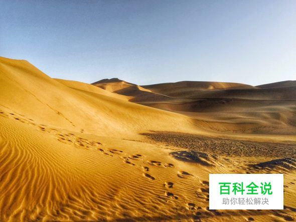 用手机拍出的大片