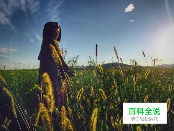 用手机拍出的大片