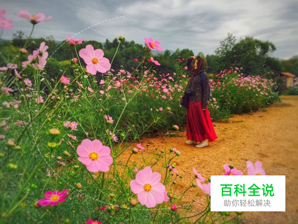 用手机拍出的大片