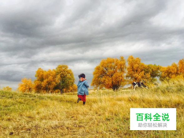 用手机拍出的大片