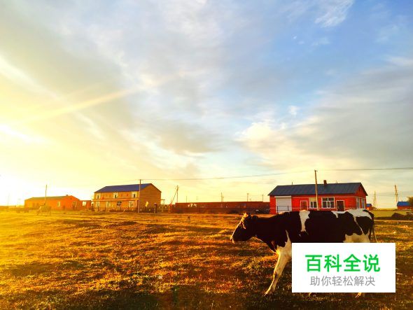 用手机拍出的大片