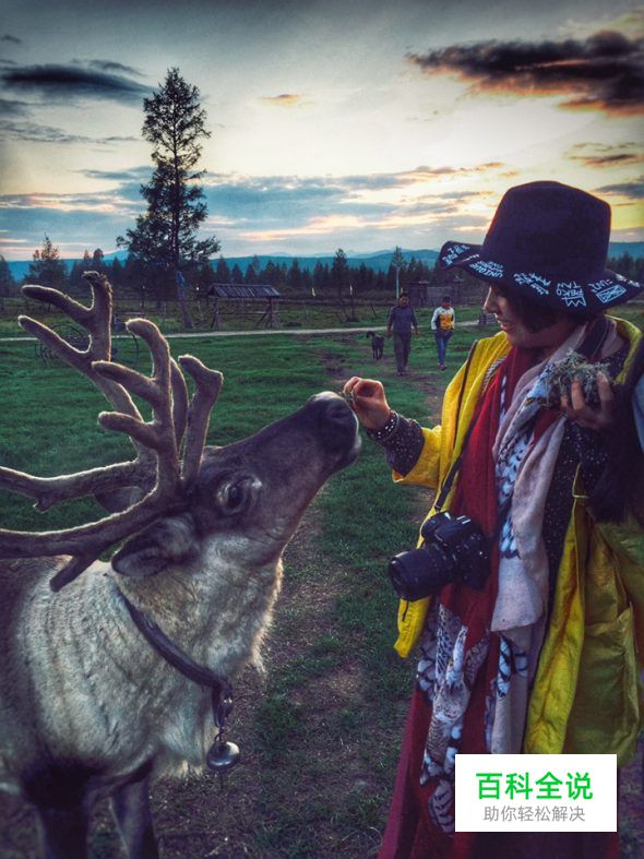 用手机拍出的大片