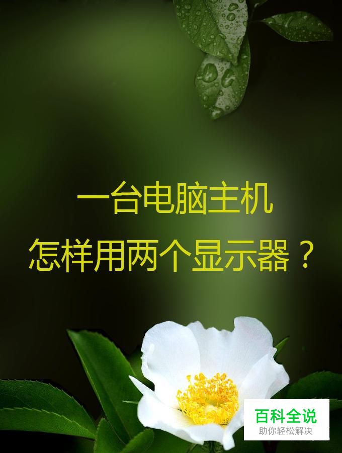 一台电脑主机怎样用两个显示器？