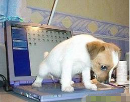 游戏优化大师--全能温度计 夏日里最靠谱的电脑消暑工具