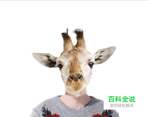 用一部手机简单地把人物头像变为动物头