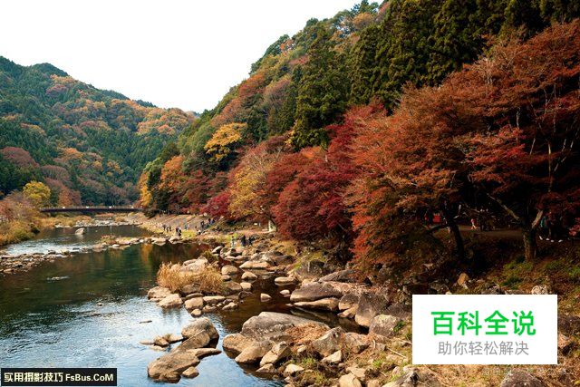 阴雨天如何拍出枫叶清新透亮的质感