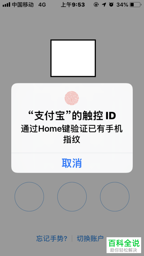 一招教你快速查看支付宝中的“免费提现额度”