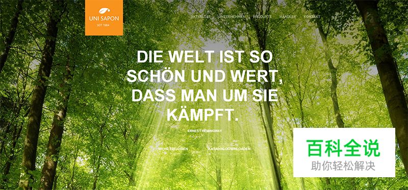 用自然风景做背景的网站欣赏！