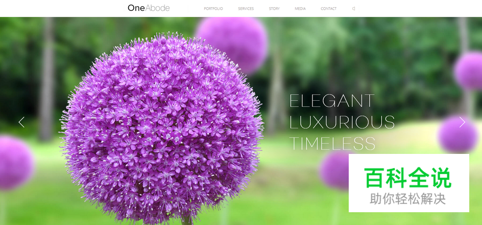 用自然风景做背景的网站欣赏！