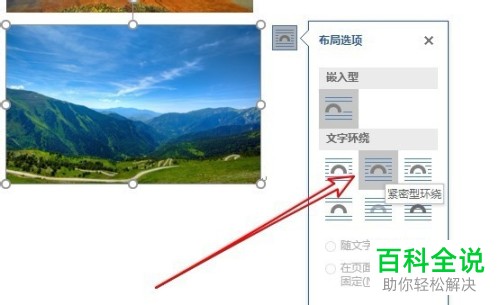 在2019版Word中如何对插入的图片设置为并排？