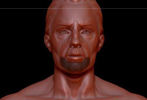 ZBrush毛发教程之快速制作胡须