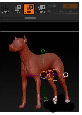 Zbrush物体怎么缩放? Zbrush物体缩放的三种方法