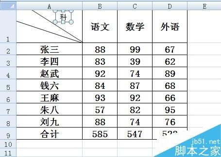 在excel表格中怎么制作斜线表头呢?