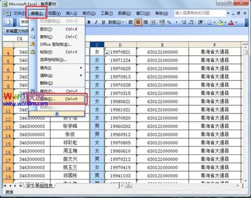 在Excel 2003中轻松实现字符替换