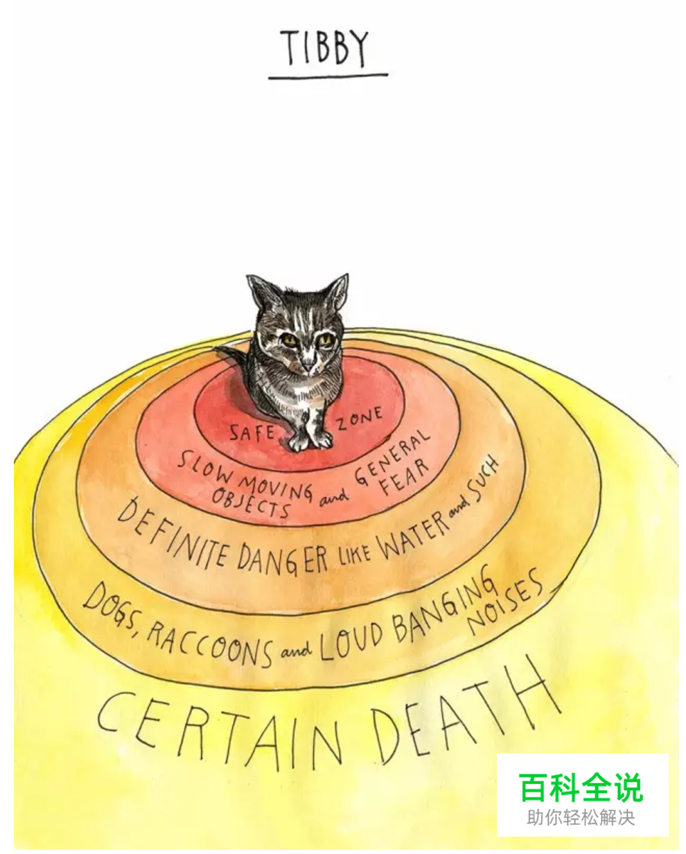 在Excel做图表？他们手绘的信息图已经美出屏幕